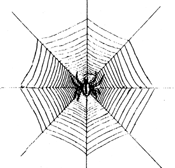 a web